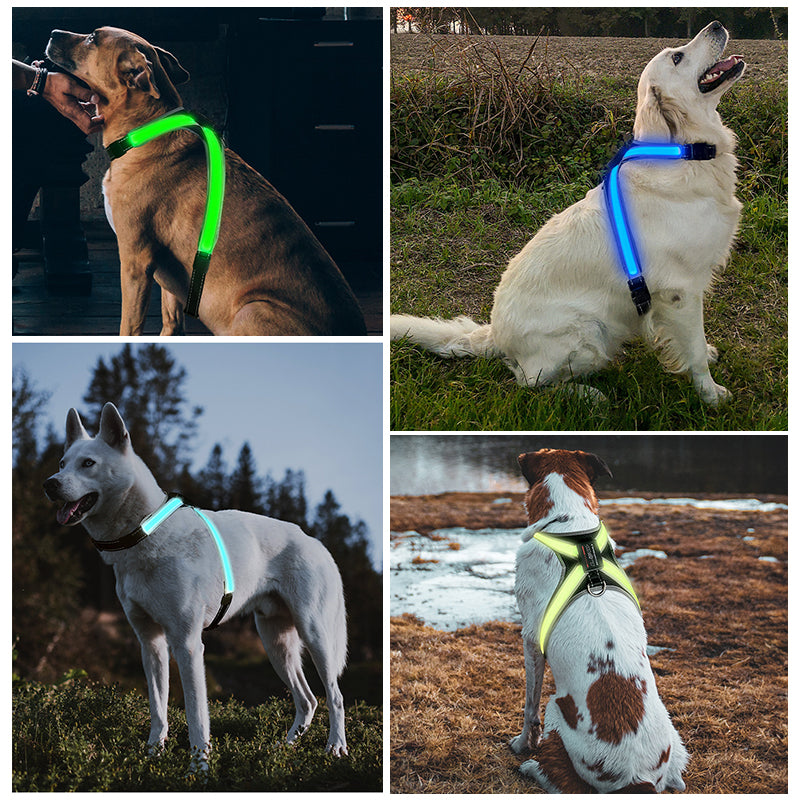 Pet supplies: explosion - proof, flushable, 8 - gear, color - changing LED, chest braces, clothes and collars with traction.