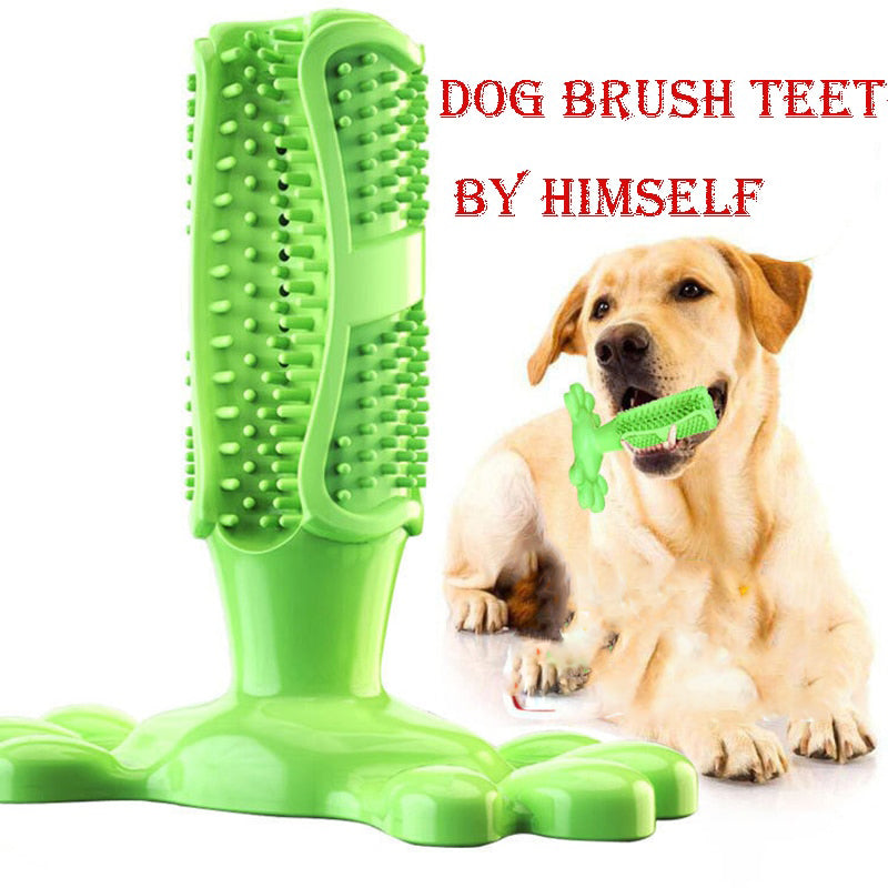 Dog Toy Dog Chew Toys Dog Toothbrush