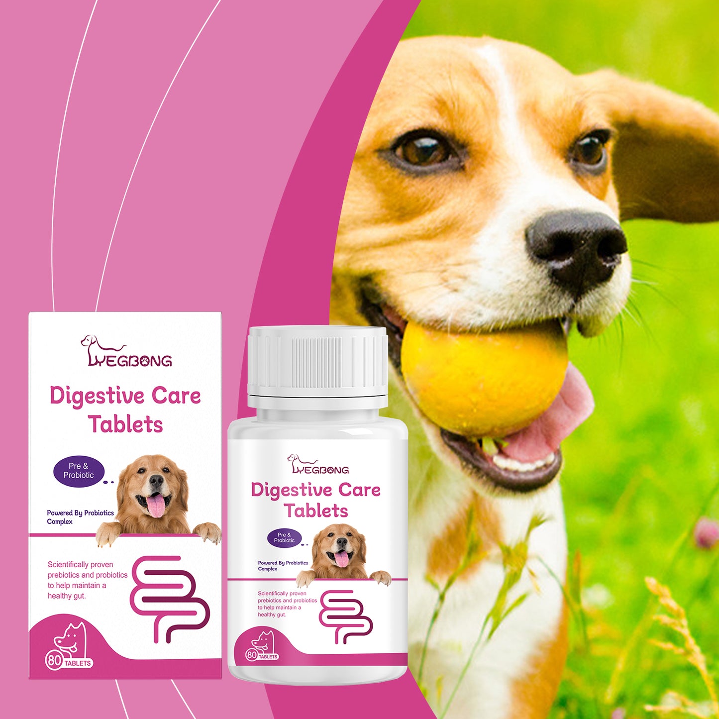 Yegbong Dog Probiotic Tablets To Improve Intestinal Health, Balance Digestion And Absorption Of Pet Nutritional Supplements