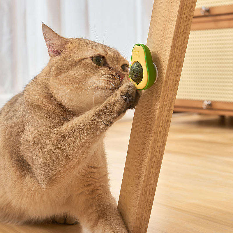 Top Sale Rotating Pet Toy Healthy Intestine Cat Spin Edible Catnip Toy Balls Avocado Cat Toy