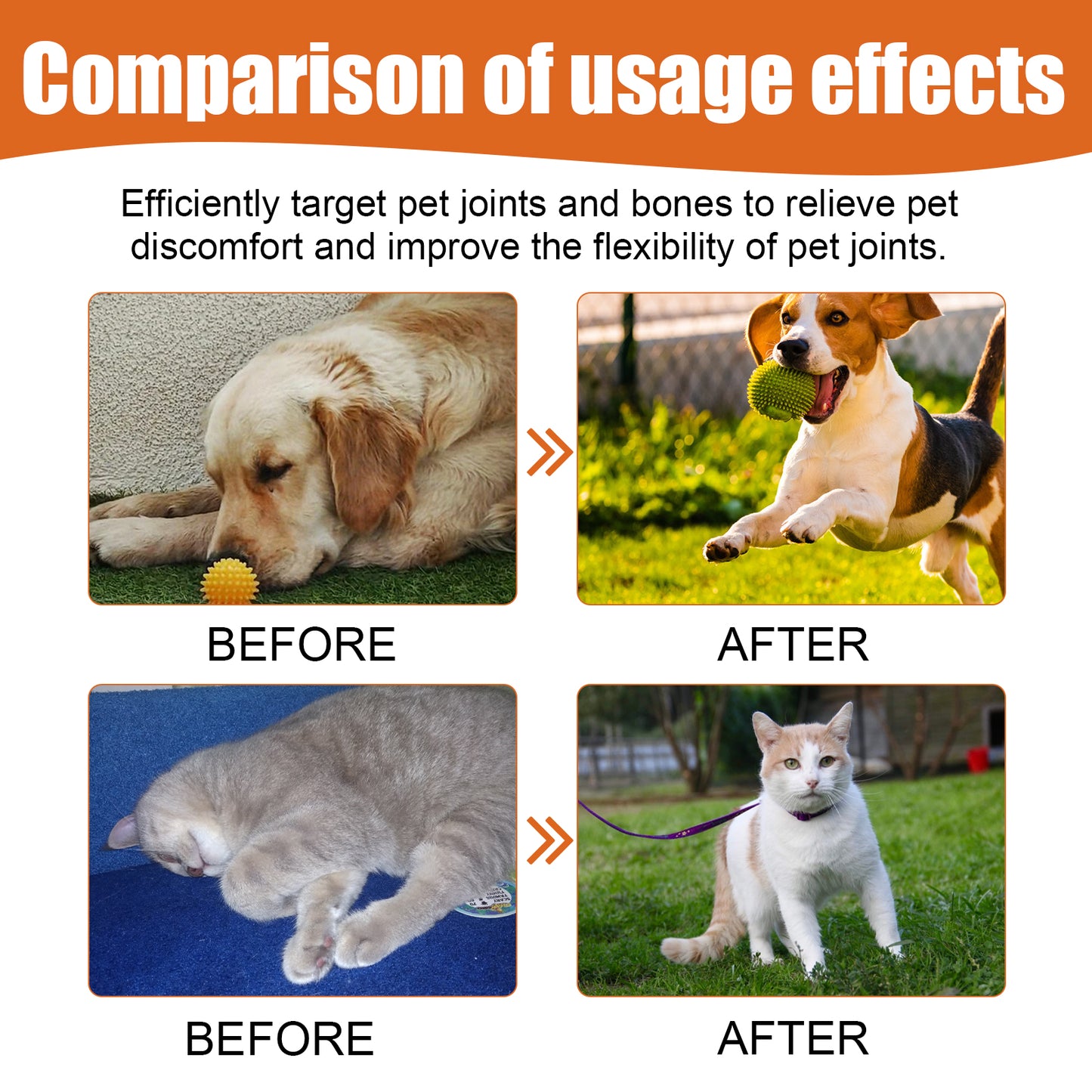 Yegbong Pet Bee Venom Oil, Joint Care For Cats And Dogs Relieves Joint Pain For Pets Pet Care Water