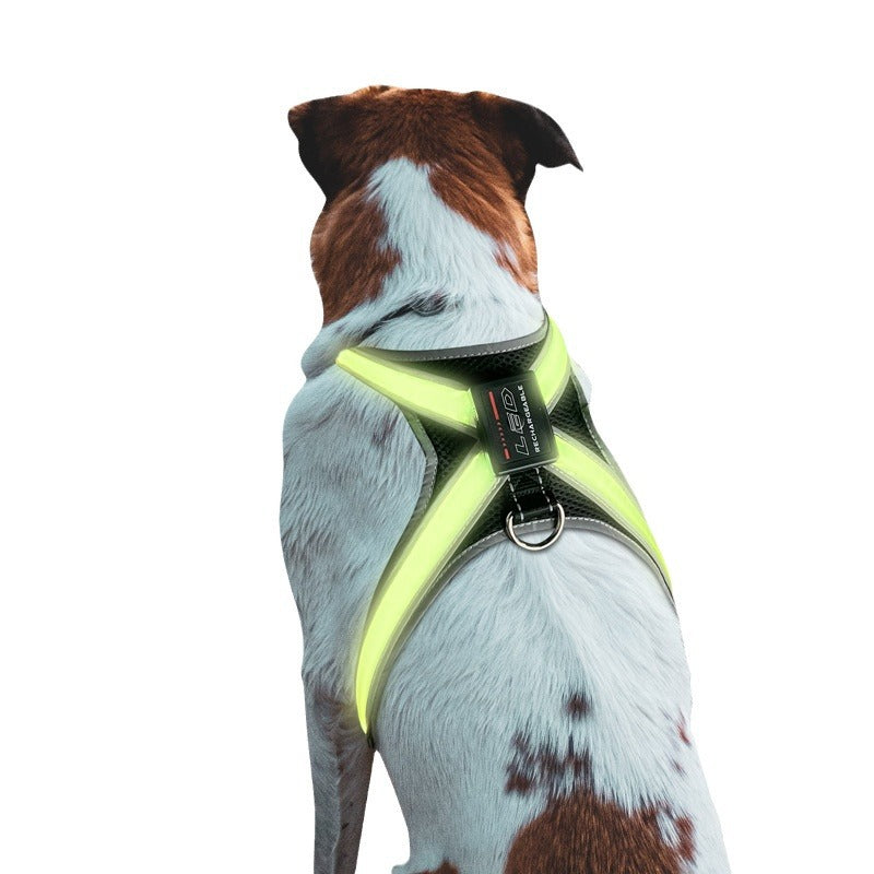 Pet supplies: explosion - proof, flushable, 8 - gear, color - changing LED, chest braces, clothes and collars with traction.