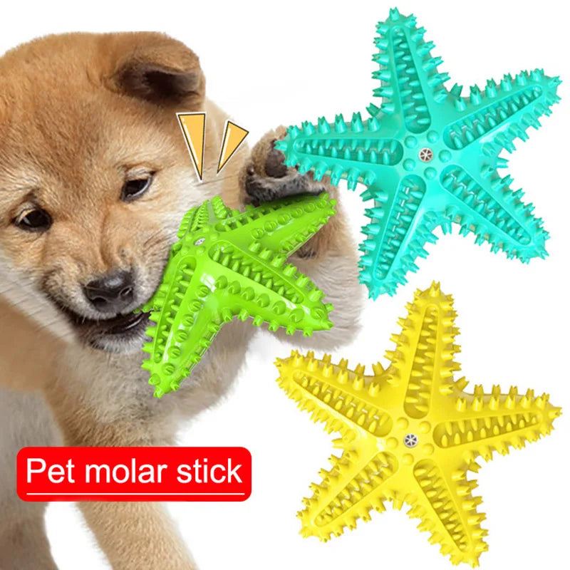 Dog Toys Dogs Accessories Toys for dogs Starfishs Shape Dog Molar Stick Durable Healthy Toothbrush Biting Toy Pet Supplies Sale